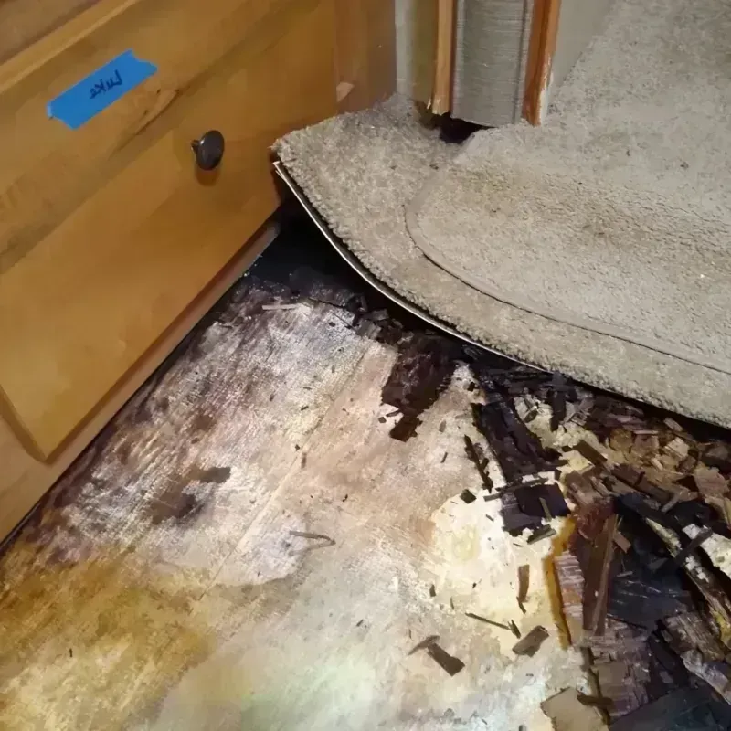 Wood Floor Water Damage in Detroit, MI